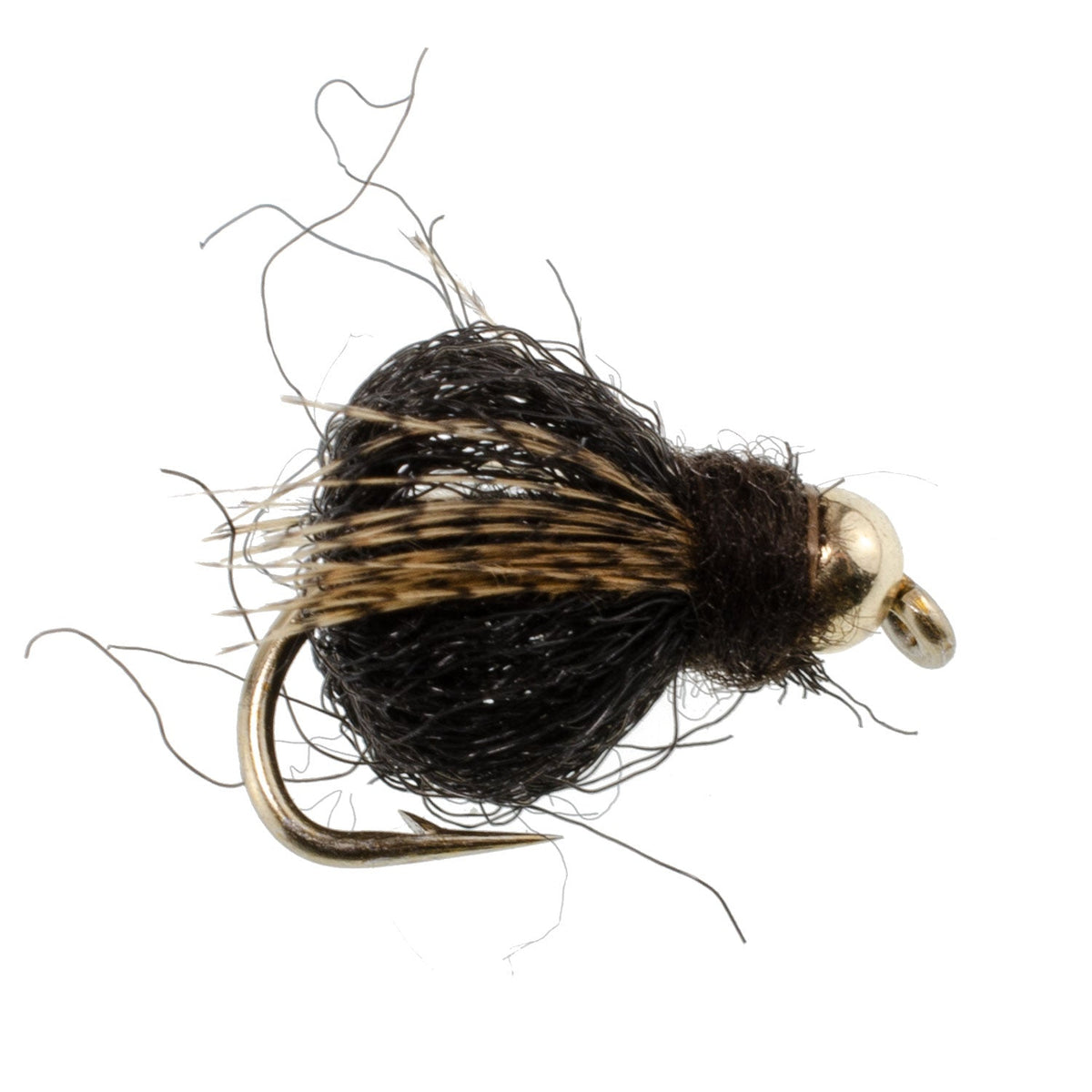 LaFontaine Black Caddis Pupa – Bead Head Nymph (12 Pack, Sz 18)