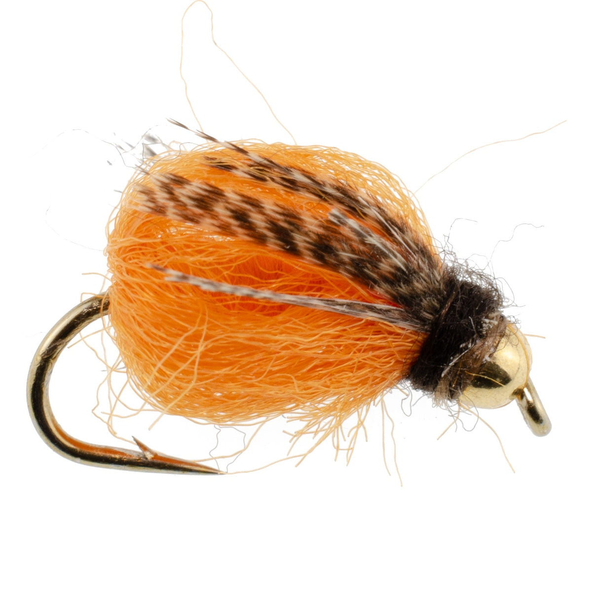 LaFontaine October Caddis Pupa – Bead Head Nymph (6 Pack, Sz 10)