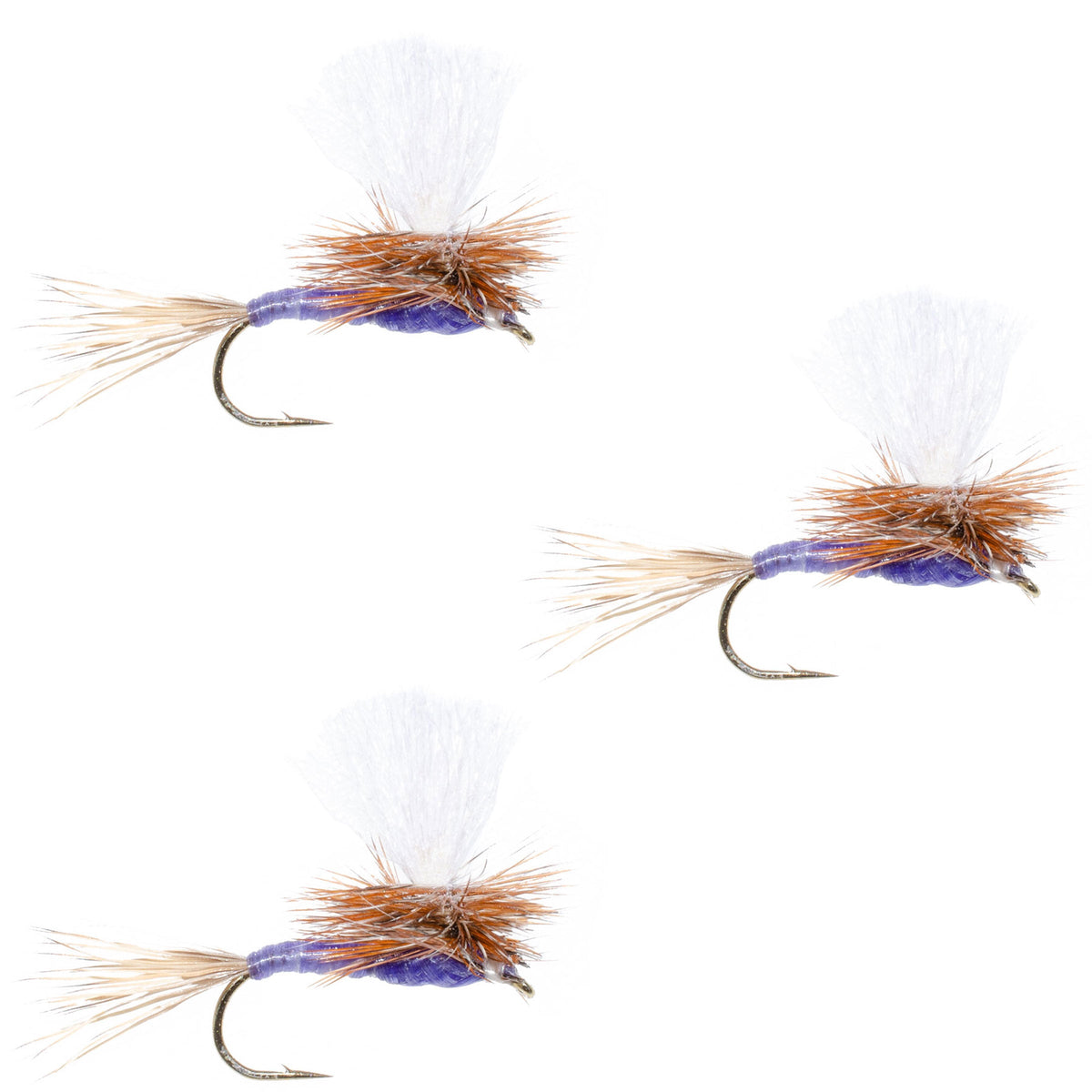 Parachute Purple Haze Dry Fly - (3 Pack, Sz 20)