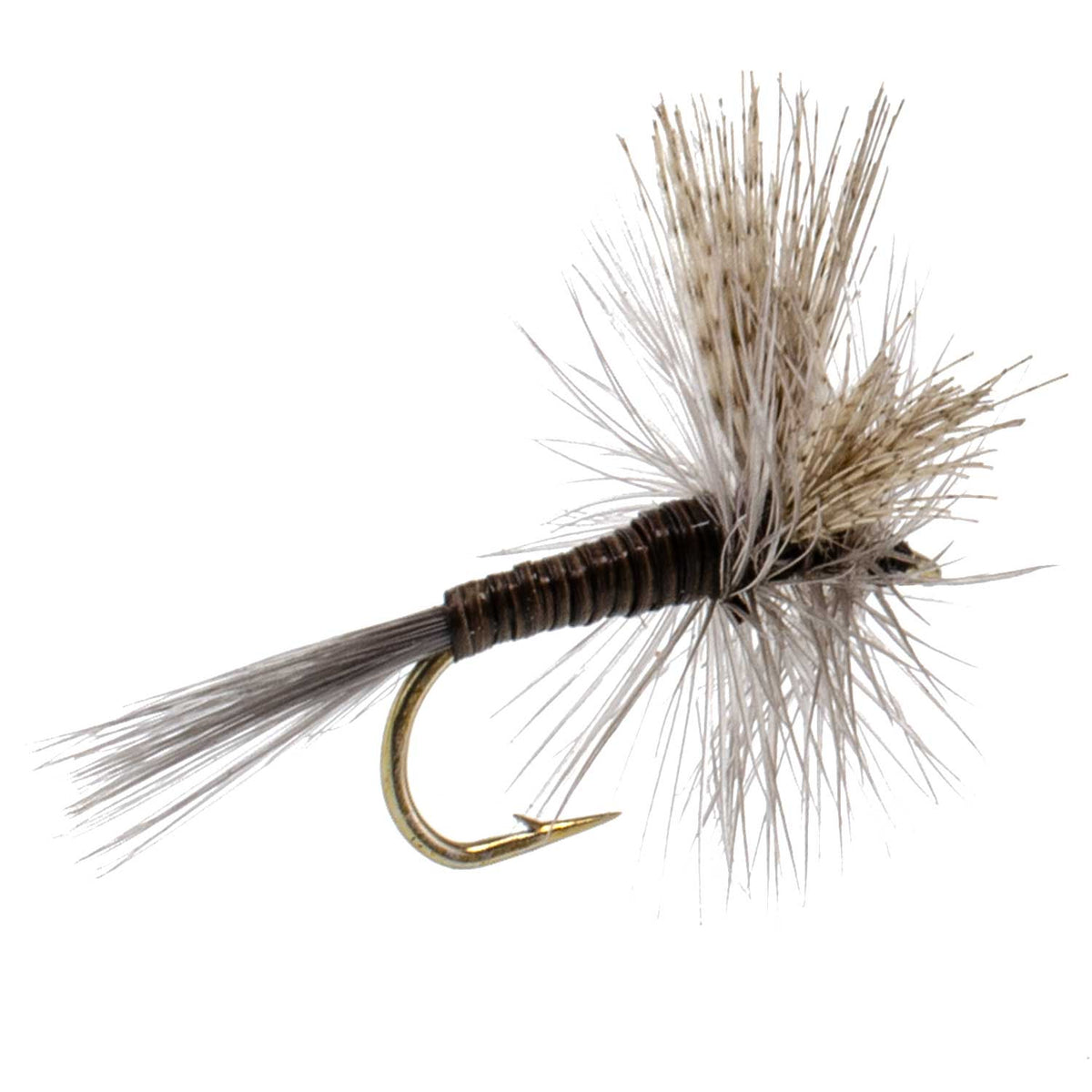 Quill Gordon Classic Dry Fly - (12 Pack, Sz 16)