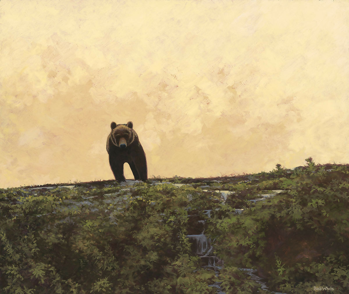 &quot;Icon - Alaskan Brown Bear&quot; by Bob White