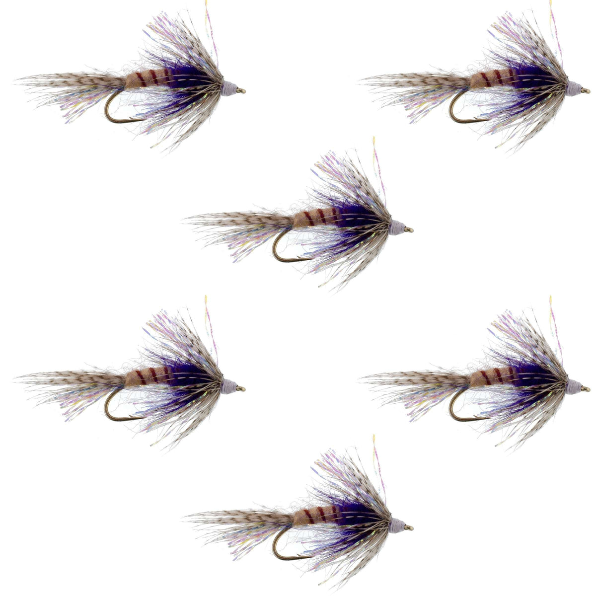 Purple Shakey Bealy Fall Soft Hackle Wet Fly - (6 Pack, Sz 10)