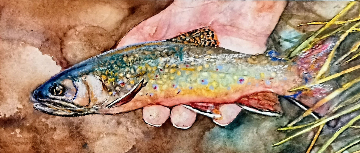 Small Creek Brookie