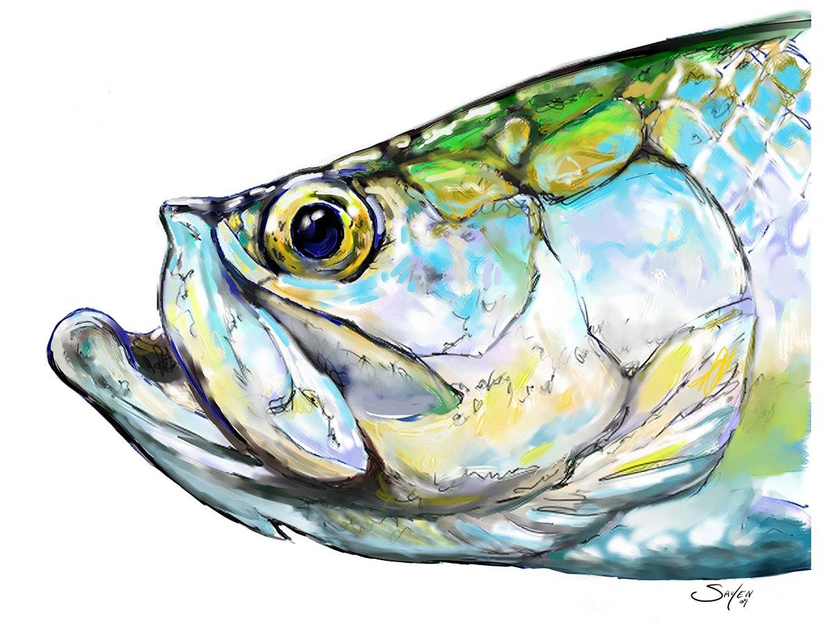 &quot;Tarpon Illustration&quot; Art