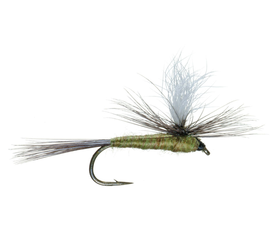 Blue Wing Olive BWO Parachute Dry Fly - (12 Pack, Sz 20)