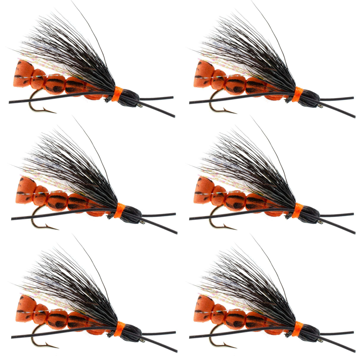 Bobs Bullethead Salmon Stone - Stonefly Dry Fly - (6 Pack, Sz 6)