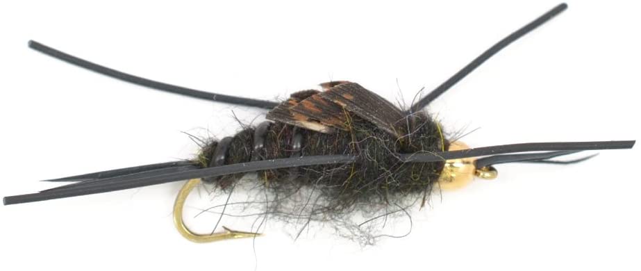Basics Collection - Kaufmann&#39;s Tungsten Bead Stonefly Nymph Assortment - 10 Bead Head Rubber Legs Wet Flies - 5 Patterns - Hook Sizes 4, 6, 8, 10, and 12