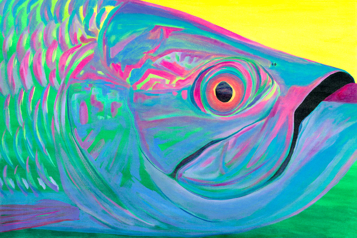 Lilly Tarpon by Zach Otte
