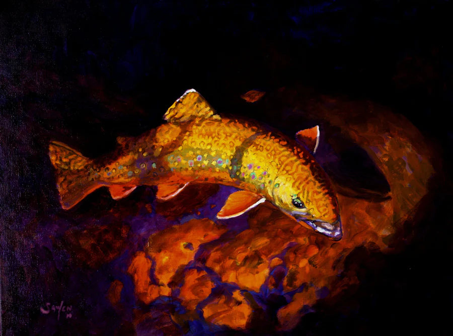 Luminous Brook Trout by Mike Savlen