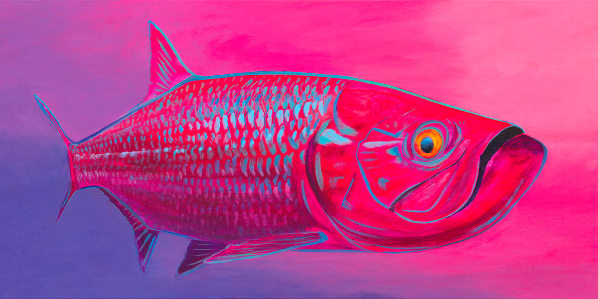 Pink Tarpon by Zach Otte
