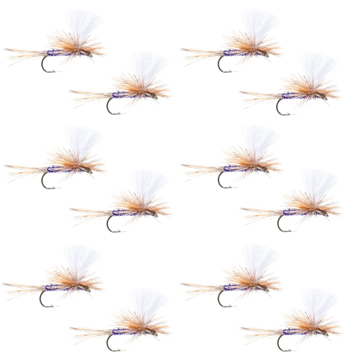 Parachute Super Flash Purple Haze Dry Fly - (12 Pack, Sz 16)