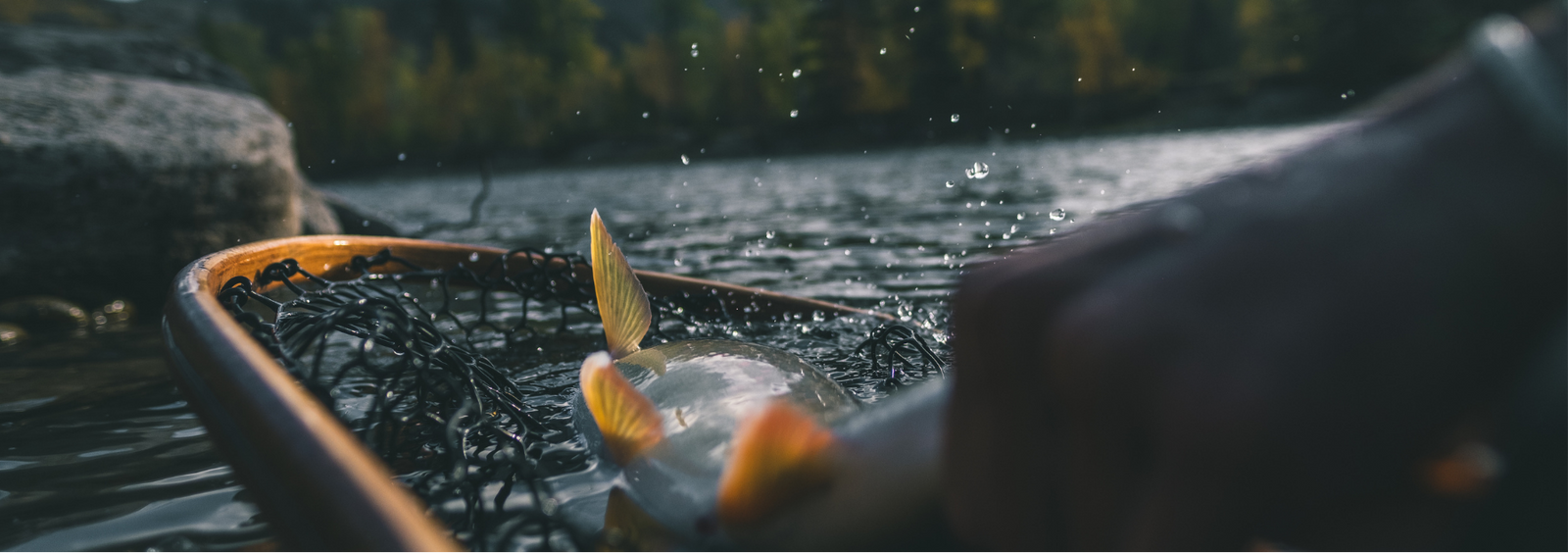 Fishing net with a fish caught in a lake surrounded by trees and mountains