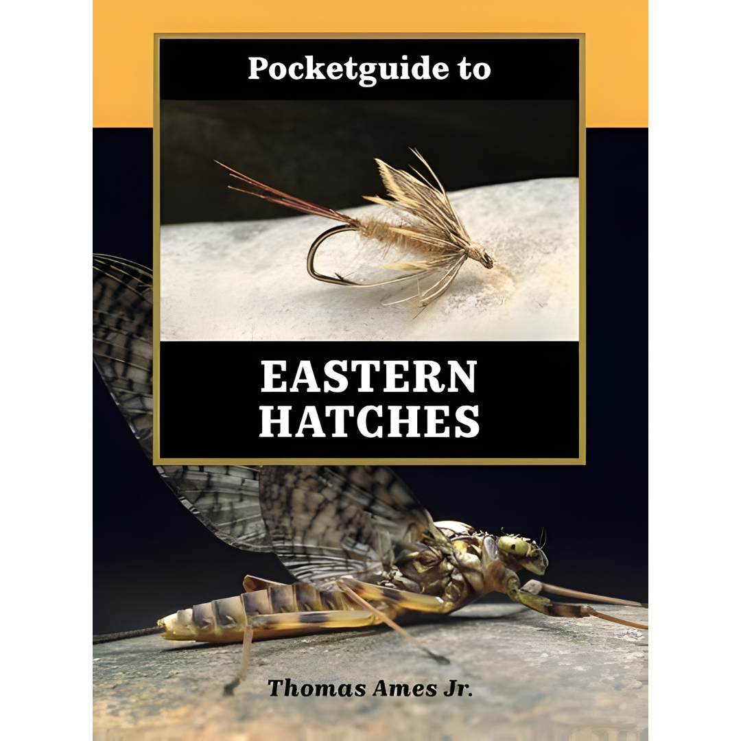 Pocket Guide to Eastern Hatches by Thomas Ames, Jr.
