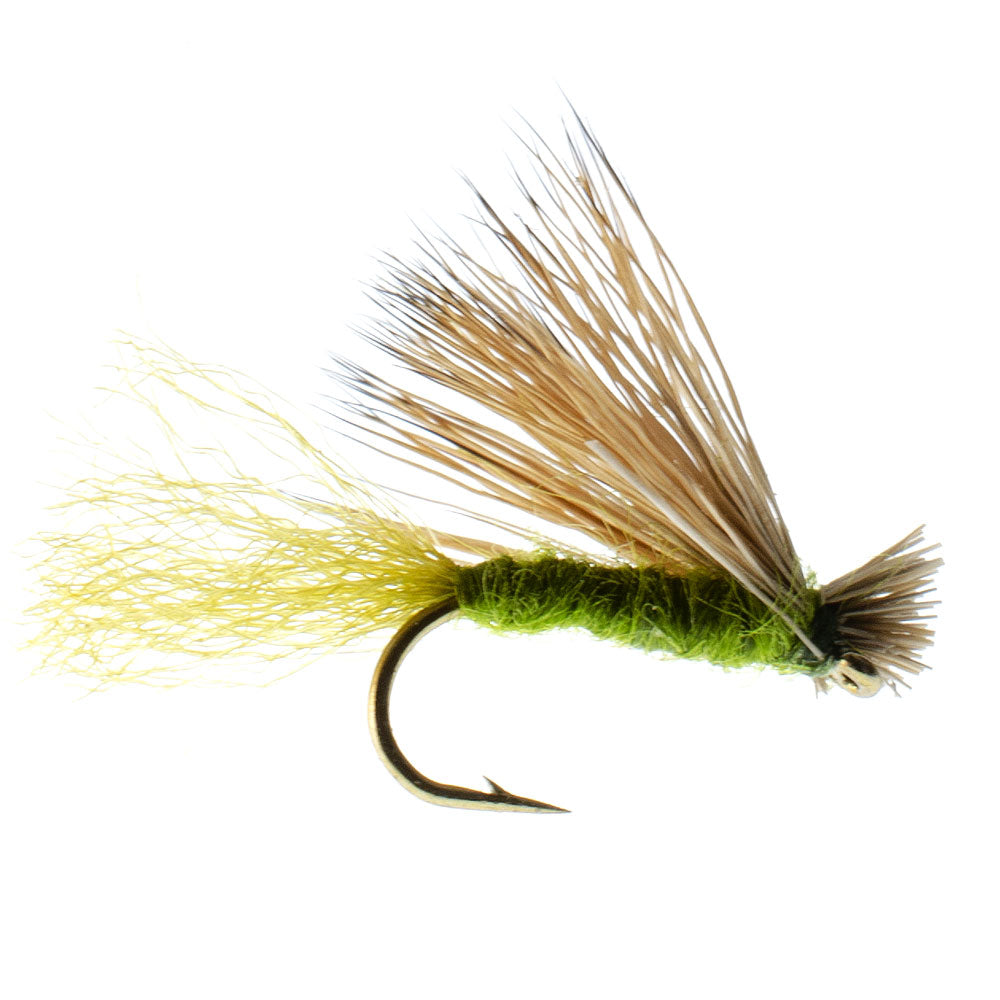 3 Pack Barbless Olive X Caddis Emerging Caddis Adult Fly - (Sz 18)