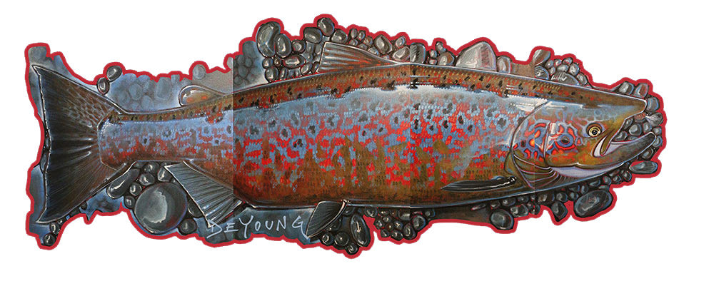 Fish Decals by Derek DeYoung