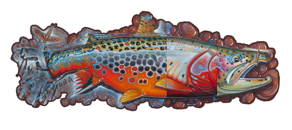 Fish Decals by Derek DeYoung