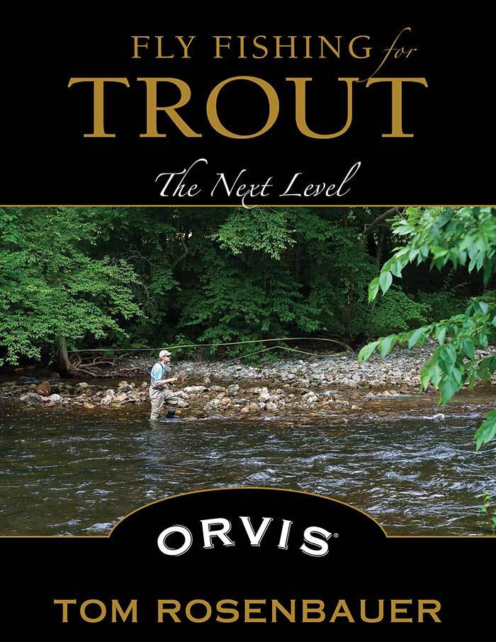 "Fly Fishing for Trout: The Next Level"