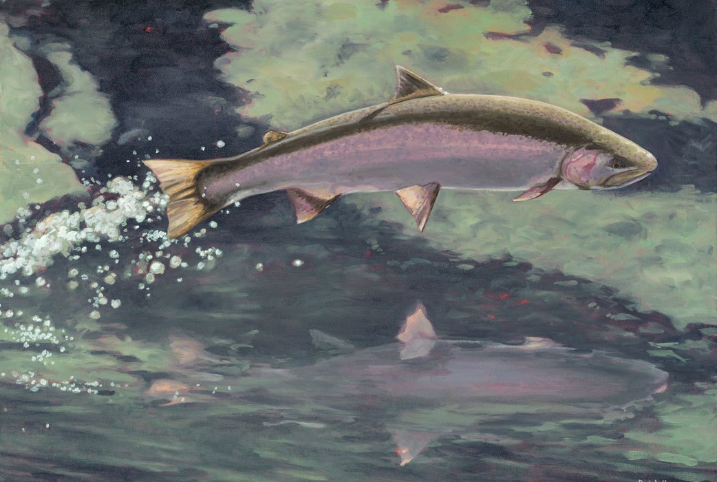 "Leap" by Bob White